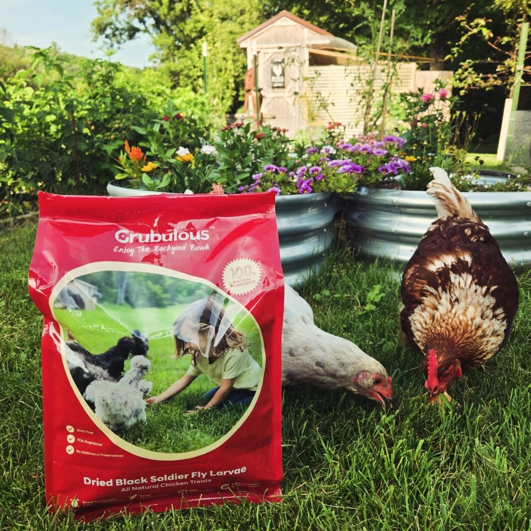 Newsletter Popup Image